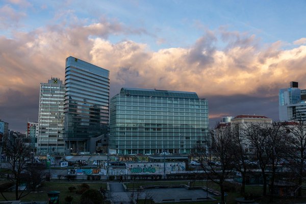 Découvrez comment lancer un club passionnant dédié à la photographie de la faune et de la flore locales !