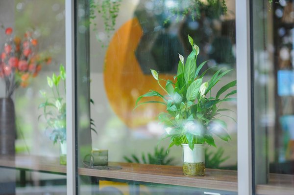 Guide Pratique : Lancer un Atelier de Montage Vidéo pour Éveiller les Talents des Jeunes Cinéastes Amateurs